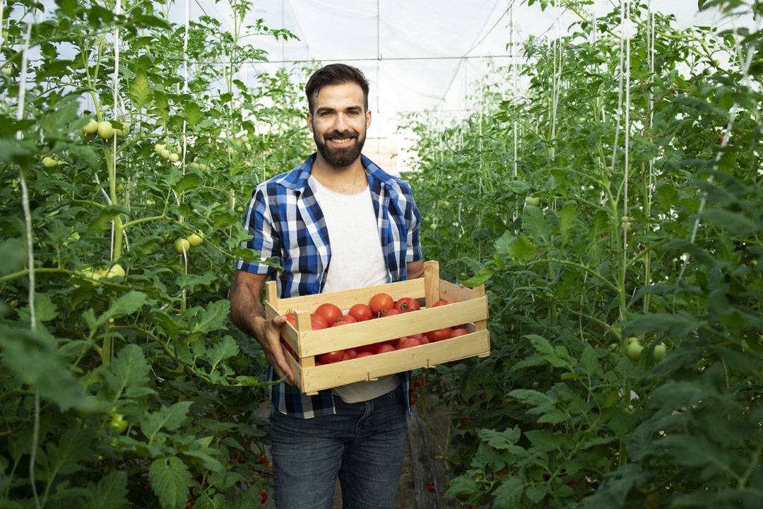 comercializadora-gandemx-canales-comercializacion-1