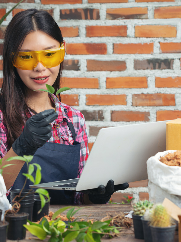 comercializadora-gandemx-emkt-3